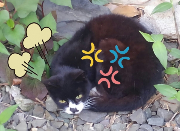 天国から地獄へ