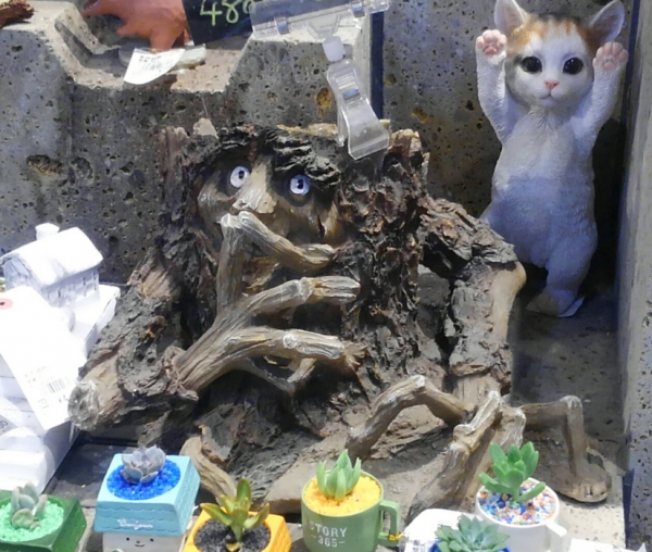 目移りしっぱなし…。