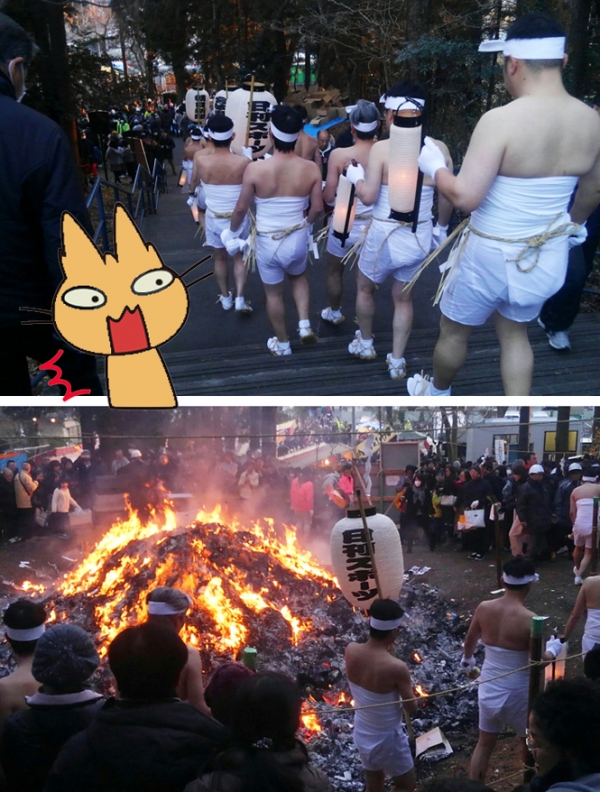 またまた発見！