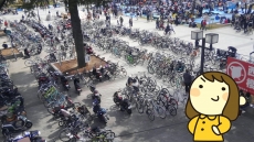 久々の更新でございます…。