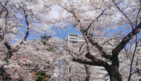 久々の更新でございます…。