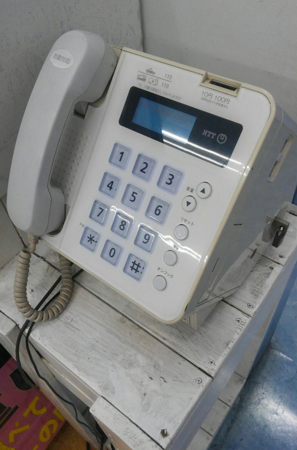 �彣��ʪ��Ÿ�ˡ�
