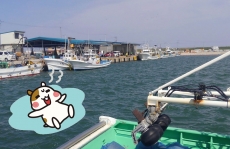 �����ޤǥɥ饤��