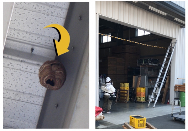 ��ä���Ȼ��֤򤫤��ơ�