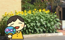 夏から秋へ移動中