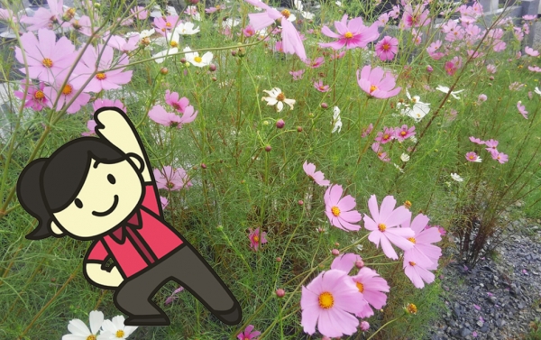 夏から秋へ移動中