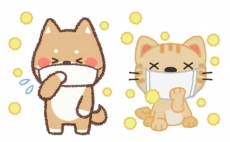 溜息ばかりです！