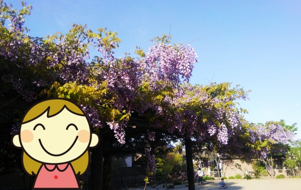 �ֶ۵޻�������װ����������ޤ�������