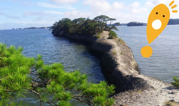 �򤷤�NEWS�Ǥ���