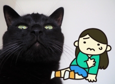 �ڥåȥ���åפˤ�