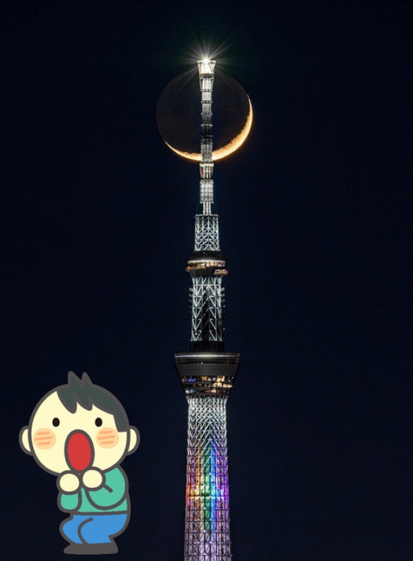 今年の夏は…
