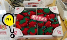 可愛いいちご！