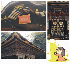 �ơ��ޤϡ֥����ƥ��֡�