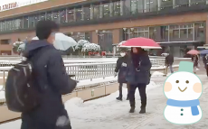 雪にもいろいろな名称が…