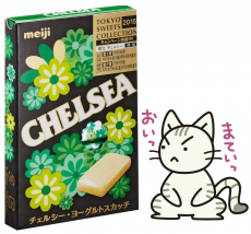 そんな馬鹿げたことを…