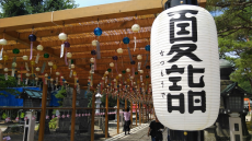 ”夏詣”って知ってますか…？