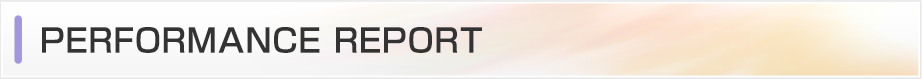 PERFORMANCE REPORT